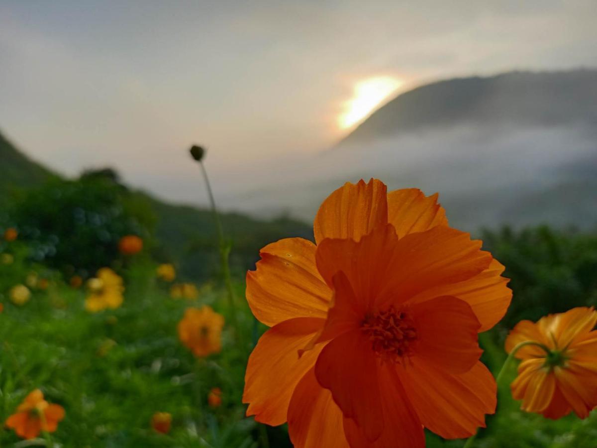 Hotel Mira Agropark Tanay Zewnętrze zdjęcie